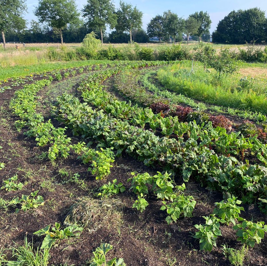 Marketgardening