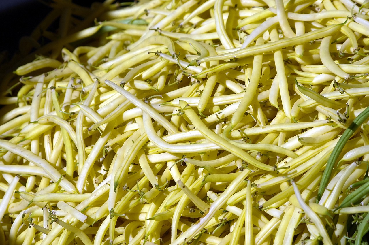 Wachsbohnensalat